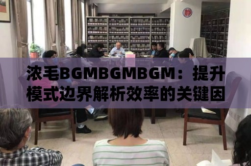 濃毛BGMBGMBGM：提升模式邊界解析效率的關鍵因素分析