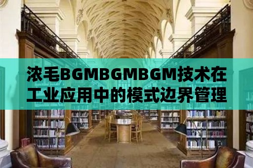 濃毛BGMBGMBGM技術(shù)在工業(yè)應(yīng)用中的模式邊界管理實(shí)踐