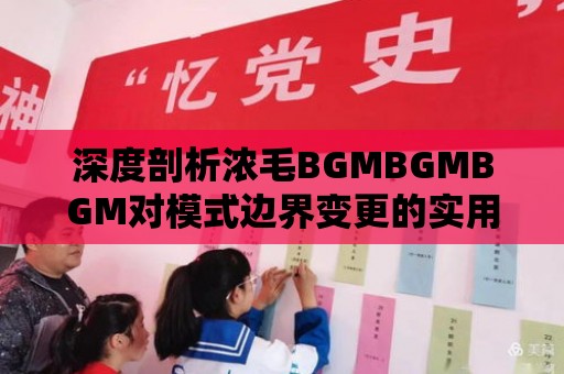 深度剖析濃毛BGMBGMBGM對(duì)模式邊界變更的實(shí)用性影響