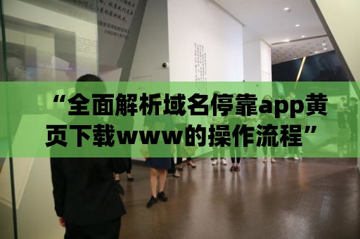 “全面解析域名停靠app黃頁下載www的操作流程”