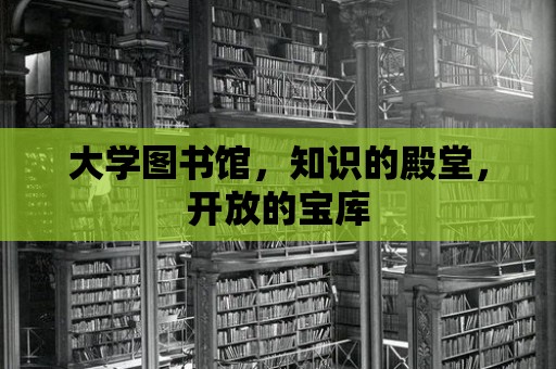 大學圖書館，知識的殿堂，開放的寶庫