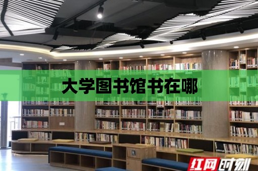 大學(xué)圖書館書在哪