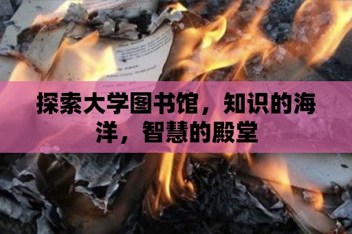 探索大學(xué)圖書館，知識的海洋，智慧的殿堂