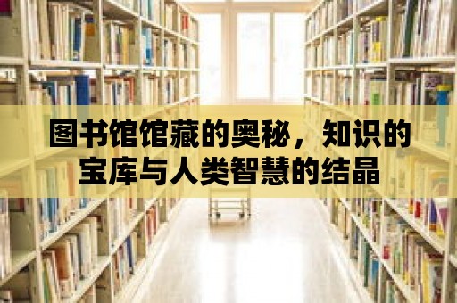 圖書(shū)館館藏的奧秘，知識(shí)的寶庫(kù)與人類(lèi)智慧的結(jié)晶