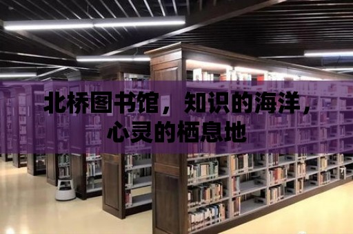 北橋圖書館，知識的海洋，心靈的棲息地