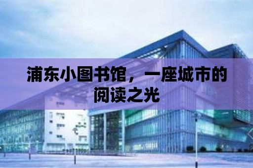 浦東小圖書館，一座城市的閱讀之光