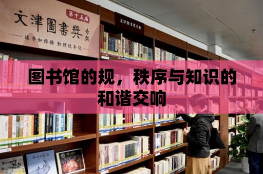 圖書館的規，秩序與知識的和諧交響