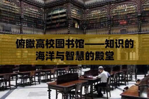 俯瞰高校圖書館——知識的海洋與智慧的殿堂