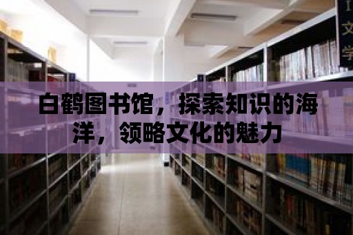 白鶴圖書館，探索知識的海洋，領略文化的魅力