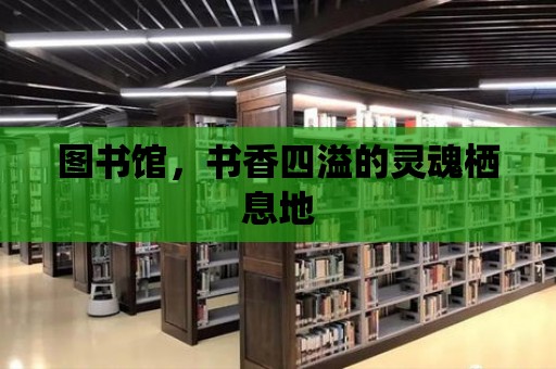 圖書館，書香四溢的靈魂棲息地