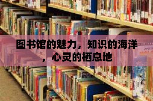 圖書館的魅力，知識的海洋，心靈的棲息地