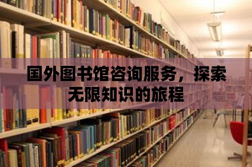 國外圖書館咨詢服務，探索無限知識的旅程