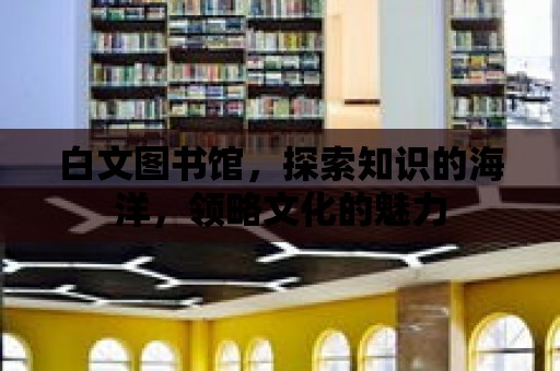 白文圖書館，探索知識的海洋，領略文化的魅力