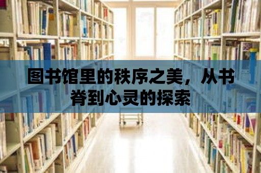 圖書館里的秩序之美，從書脊到心靈的探索