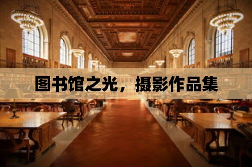 圖書館之光，攝影作品集