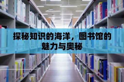 探秘知識的海洋，圖書館的魅力與奧秘