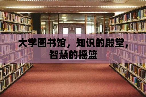 大學(xué)圖書館，知識的殿堂，智慧的搖籃