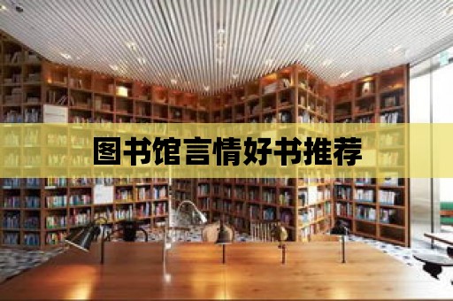 圖書館言情好書推薦