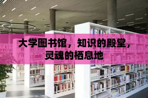 大學(xué)圖書館，知識的殿堂，靈魂的棲息地