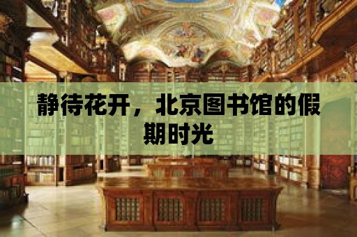 靜待花開，北京圖書館的假期時光