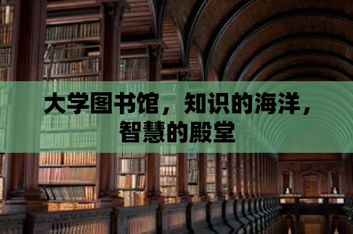 大學(xué)圖書館，知識(shí)的海洋，智慧的殿堂