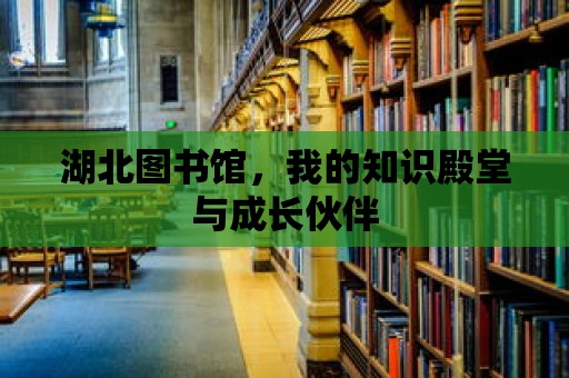 湖北圖書館，我的知識殿堂與成長伙伴