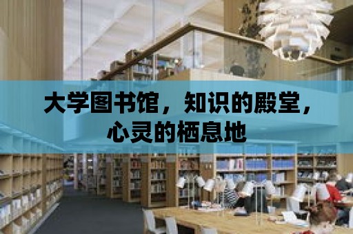 大學圖書館，知識的殿堂，心靈的棲息地