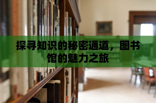 探尋知識的秘密通道，圖書館的魅力之旅