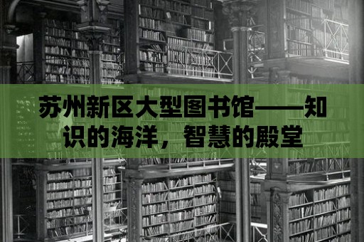 蘇州新區(qū)大型圖書館——知識(shí)的海洋，智慧的殿堂