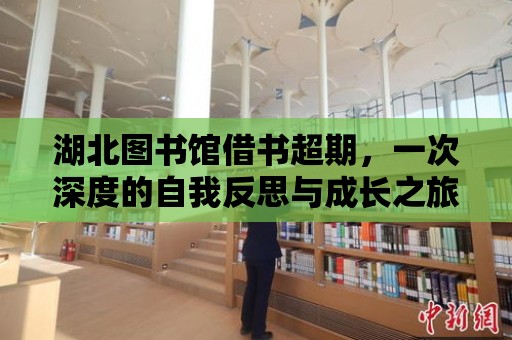 湖北圖書館借書超期，一次深度的自我反思與成長之旅