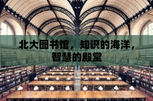 北大圖書館，知識的海洋，智慧的殿堂