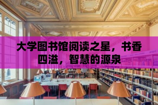 大學(xué)圖書館閱讀之星，書香四溢，智慧的源泉