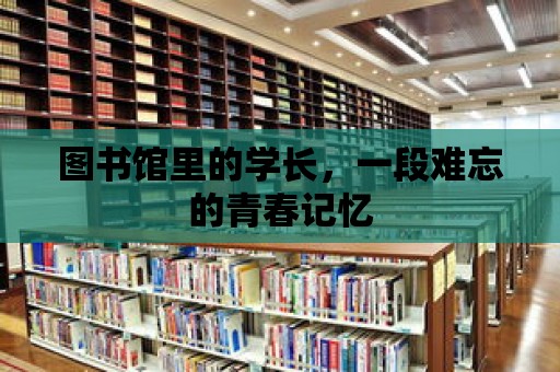 圖書館里的學長，一段難忘的青春記憶