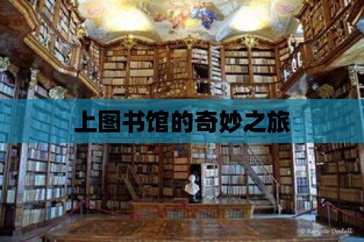 上圖書館的奇妙之旅