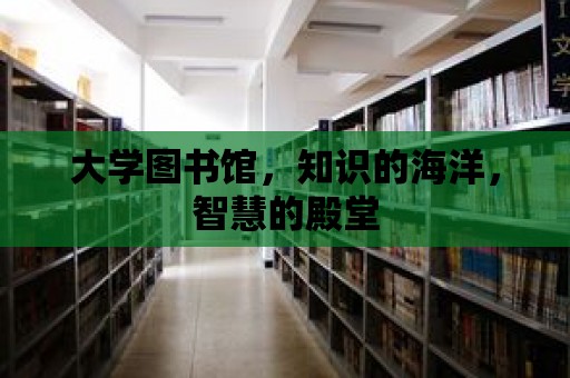 大學圖書館，知識的海洋，智慧的殿堂