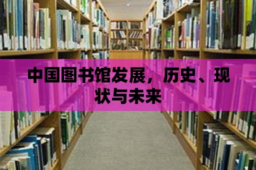 中國圖書館發展，歷史、現狀與未來