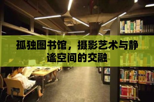 孤獨圖書館，攝影藝術與靜謐空間的交融