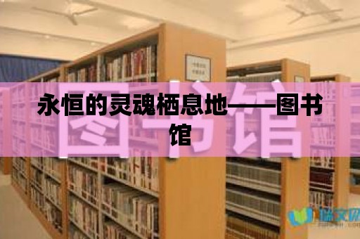 永恒的靈魂棲息地——圖書館