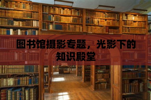 圖書館攝影專題，光影下的知識殿堂