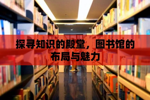 探尋知識的殿堂，圖書館的布局與魅力