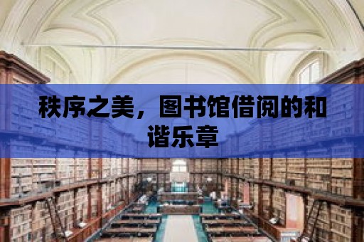 秩序之美，圖書館借閱的和諧樂章