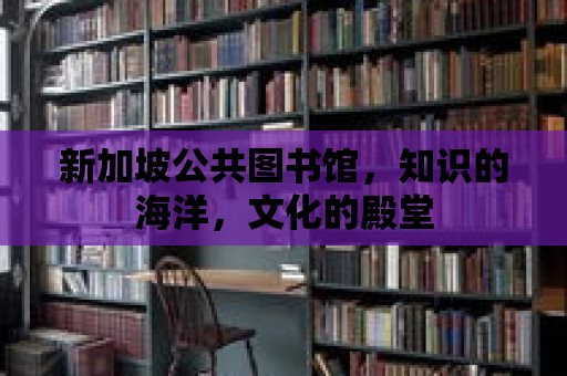 新加坡公共圖書館，知識的海洋，文化的殿堂