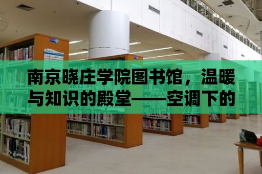 南京曉莊學院圖書館，溫暖與知識的殿堂——空調下的閱讀天堂