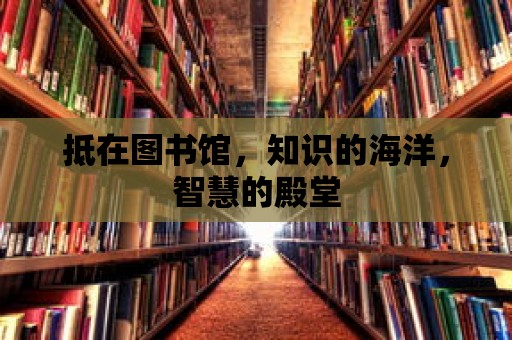 抵在圖書館，知識的海洋，智慧的殿堂