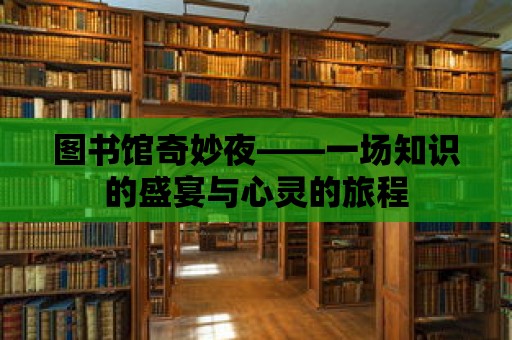 圖書館奇妙夜——一場知識的盛宴與心靈的旅程