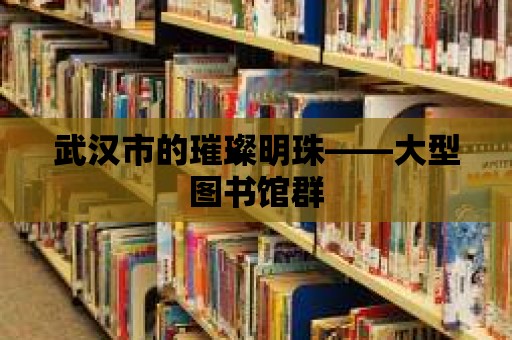 武漢市的璀璨明珠——大型圖書館群