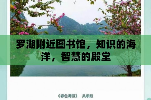 羅湖附近圖書館，知識的海洋，智慧的殿堂