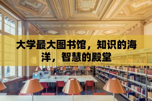 大學最大圖書館，知識的海洋，智慧的殿堂