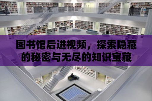 圖書館后進視頻，探索隱藏的秘密與無盡的知識寶藏