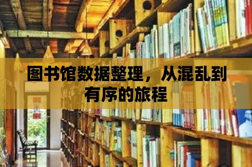 圖書館數(shù)據(jù)整理，從混亂到有序的旅程